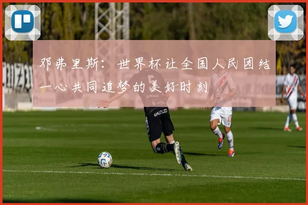 邓弗里斯：世界杯让全国人民团结一心共同追梦的美好时刻
